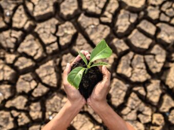 boy are stand holding seedlings are in dry land in a warming wor BGH stärkt Immobilienverkäufer in Notlagen boy are stand holding seedlings are dry land warming world scaled Versicherungspapa