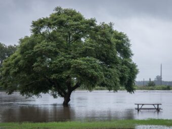 Weiterer offener Immobilienfonds setzt Anteilsrücknahme aus flood waters 2023 11 27 04 53 50 utc scaled Versicherungspapa