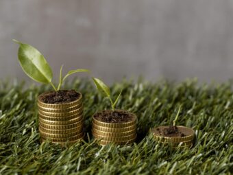 high-angle-three-stacks-coins-grass-with-plants-dirt PKV-Angebot in Bewegung high angle three stacks coins grass with plants dirt scaled Versicherungspapa