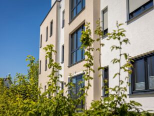 modern-residential-building-exterior-with-green-foliage-clear-blue-sky „Grüne Versicherungskarte“ feiert 75. Geburtstag modern residential building exterior with green foliage clear blue sky scaled scaled Versicherungspapa