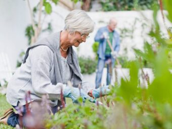 Older couple gardening in backyard Weiterer offener Immobilienfonds setzt Anteilsrücknahme aus older couple gardening in backyard 2023 11 27 05 02 05 utc scaled Versicherungspapa