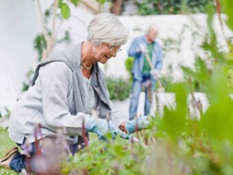 BGH stärkt Immobilienverkäufer in Notlagen older couple gardening in backyard 2023 11 27 05 02 05 utc scaled Versicherungspapa