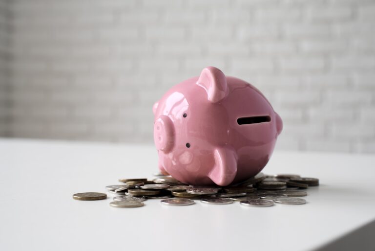 Sparquote: Weltklasse, Sparrendite: Kreisklasse close up education economy objects Versicherungspapa