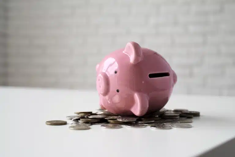 Sparquote: Weltklasse, Sparrendite: Kreisklasse close up education economy objects Versicherungspapa