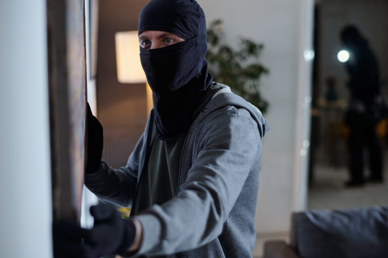 Zahl der Wohnungseinbrüche weiter angestiegen criminal wearing mask stealing painting home burglary Versicherungspapa