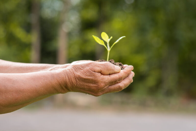 Anti-Greenwashing-Gesetz beschlossen elderly person holding plant scaled Versicherungspapa