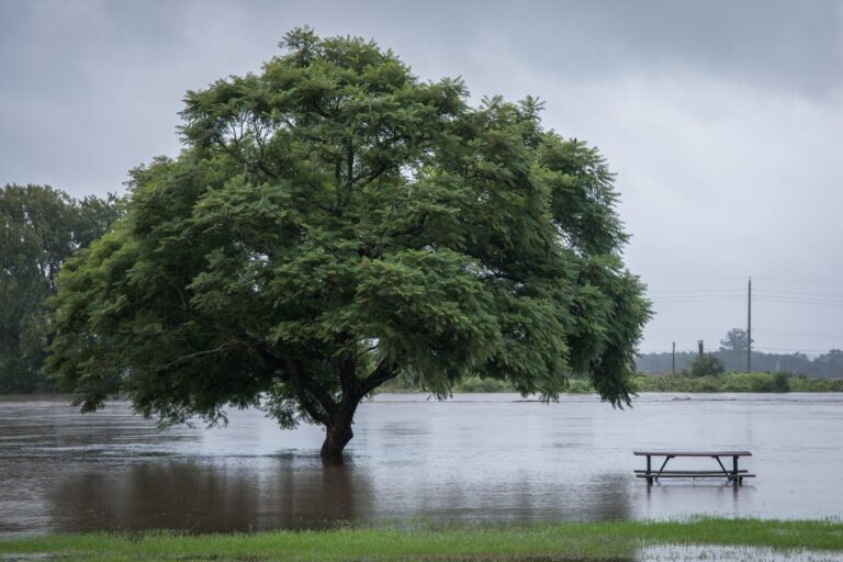 Versicherer rechnen mit Hochwasserschäden von 2 Milliarden Euro flood waters 2023 11 27 04 53 50 utc scaled Versicherungspapa