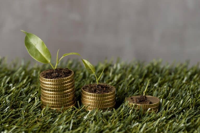 Nachhaltige Geldanlage: Momentum verloren? high angle three stacks coins grass with plants dirt scaled Versicherungspapa