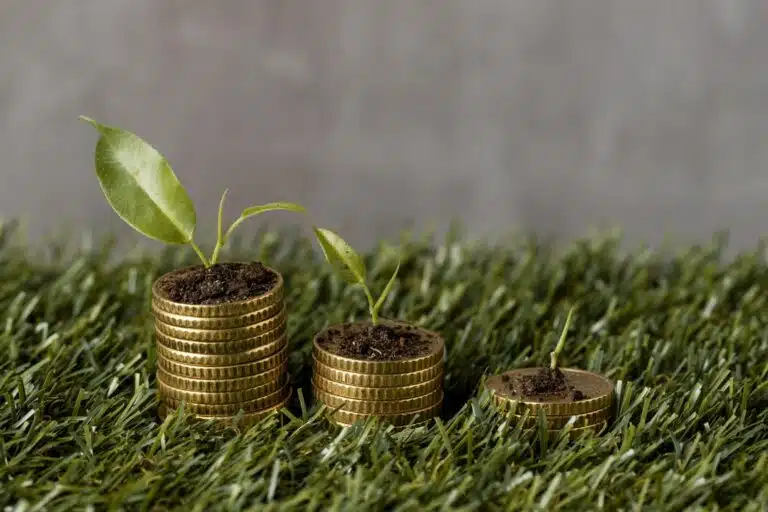 Nachhaltige Geldanlage: Momentum verloren? high angle three stacks coins grass with plants dirt scaled Versicherungspapa