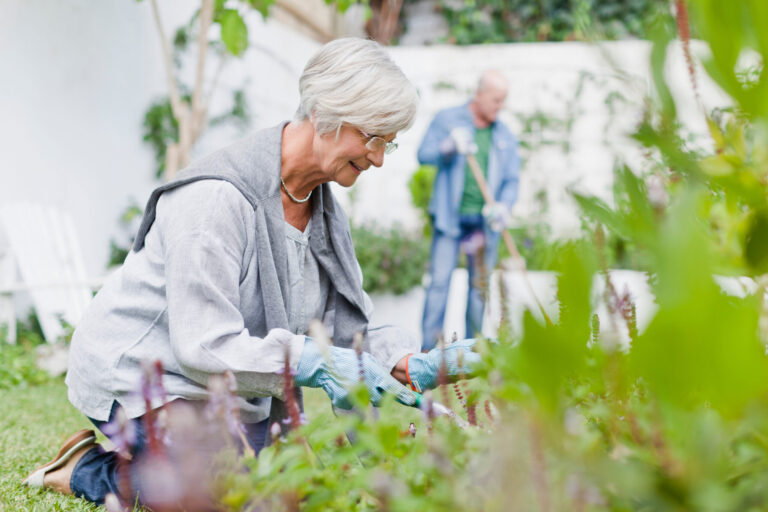 Betriebsrenten-Reformvorschlag findet bei Versicherern Zustimmung older couple gardening in backyard 2023 11 27 05 02 05 utc scaled Versicherungspapa