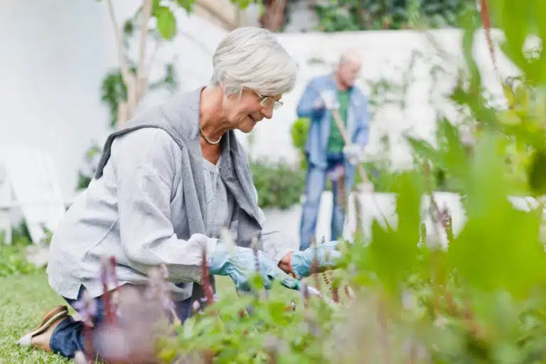 Betriebsrenten-Reformvorschlag findet bei Versicherern Zustimmung older couple gardening in backyard 2023 11 27 05 02 05 utc scaled Versicherungspapa