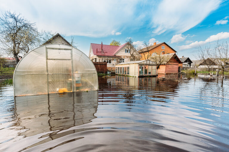 Bundesrat fordert Elementarschäden-Pflichtversicherung vegetable garden beds in water during spring flood 2023 11 27 05 01 29 utc Versicherungspapa